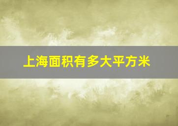 上海面积有多大平方米