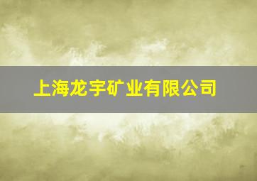 上海龙宇矿业有限公司