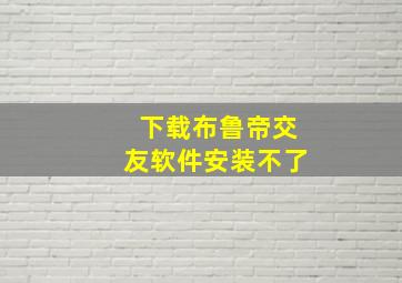 下载布鲁帝交友软件安装不了