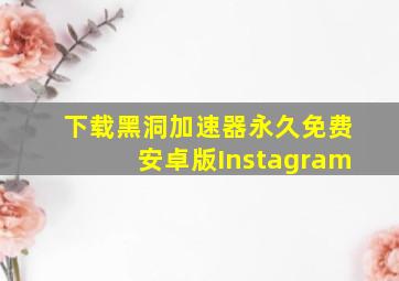 下载黑洞加速器永久免费安卓版Instagram