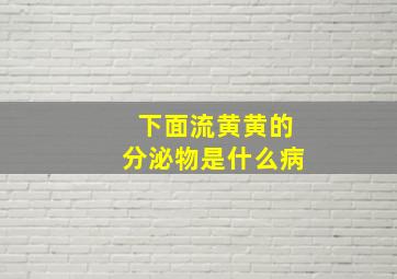 下面流黄黄的分泌物是什么病