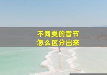 不同类的音节怎么区分出来