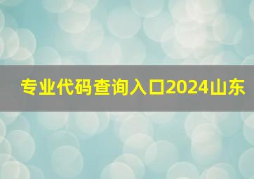 专业代码查询入口2024山东