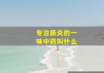 专治肠炎的一味中药叫什么