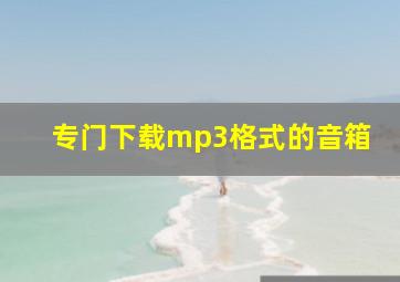 专门下载mp3格式的音箱