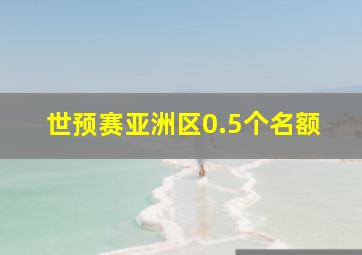 世预赛亚洲区0.5个名额