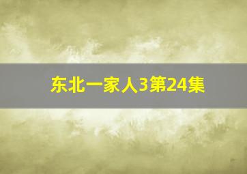 东北一家人3第24集