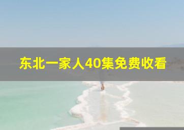 东北一家人40集免费收看