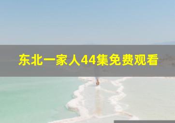 东北一家人44集免费观看