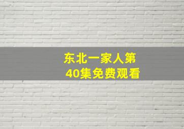 东北一家人第40集免费观看