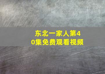 东北一家人第40集免费观看视频