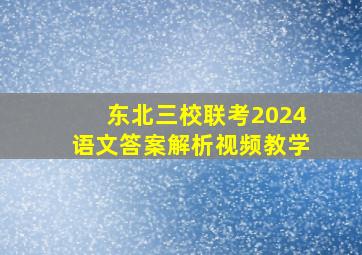 东北三校联考2024语文答案解析视频教学