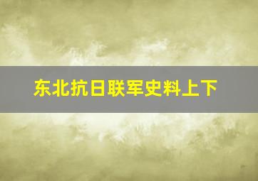 东北抗日联军史料上下