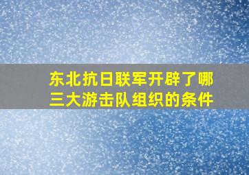 东北抗日联军开辟了哪三大游击队组织的条件