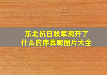 东北抗日联军揭开了什么的序幕呢图片大全