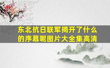 东北抗日联军揭开了什么的序幕呢图片大全集高清