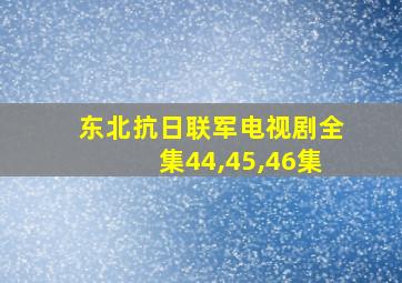 东北抗日联军电视剧全集44,45,46集