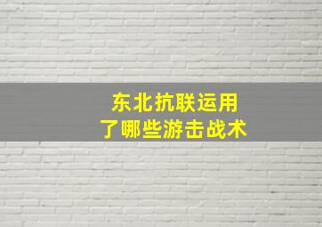 东北抗联运用了哪些游击战术