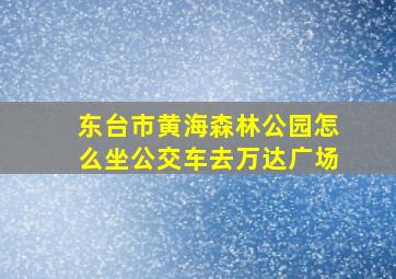 东台市黄海森林公园怎么坐公交车去万达广场