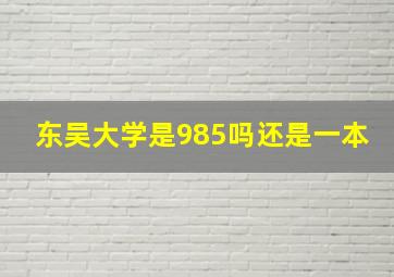 东吴大学是985吗还是一本