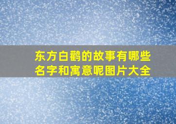 东方白鹳的故事有哪些名字和寓意呢图片大全