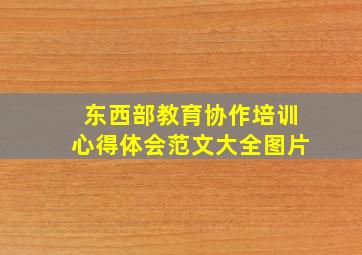 东西部教育协作培训心得体会范文大全图片