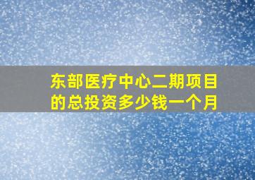 东部医疗中心二期项目的总投资多少钱一个月