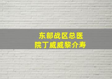 东部战区总医院丁威威黎介寿