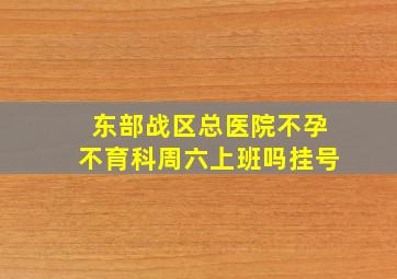 东部战区总医院不孕不育科周六上班吗挂号