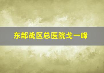 东部战区总医院戈一峰