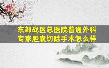 东部战区总医院普通外科专家胆囊切除手术怎么样