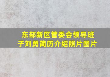 东部新区管委会领导班子刘勇简历介绍照片图片