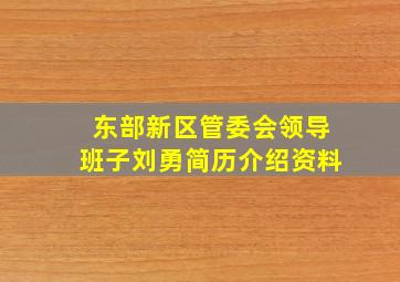 东部新区管委会领导班子刘勇简历介绍资料