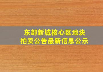 东部新城核心区地块拍卖公告最新信息公示