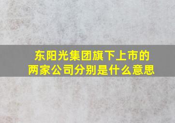 东阳光集团旗下上市的两家公司分别是什么意思