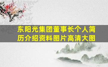 东阳光集团董事长个人简历介绍资料图片高清大图