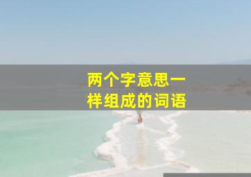 两个字意思一样组成的词语