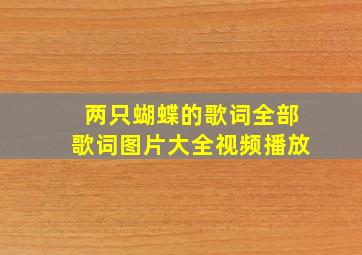 两只蝴蝶的歌词全部歌词图片大全视频播放