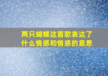 两只蝴蝶这首歌表达了什么情感和情感的意思