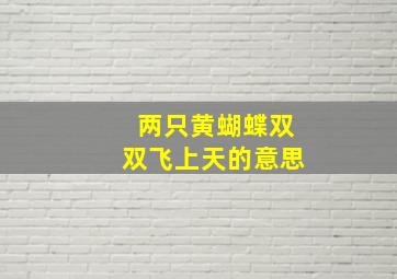 两只黄蝴蝶双双飞上天的意思