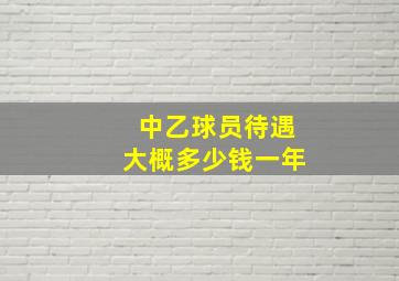 中乙球员待遇大概多少钱一年