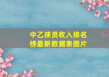 中乙球员收入排名榜最新数据表图片