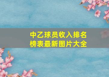 中乙球员收入排名榜表最新图片大全