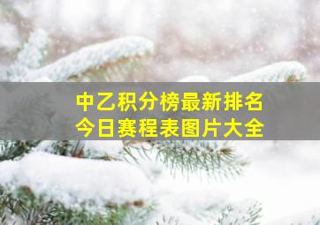 中乙积分榜最新排名今日赛程表图片大全