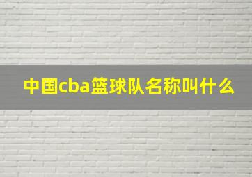 中国cba篮球队名称叫什么