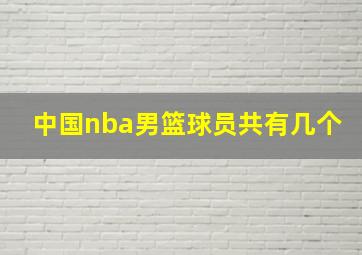 中国nba男篮球员共有几个