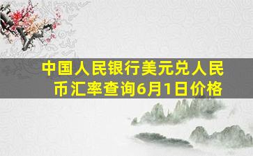 中国人民银行美元兑人民币汇率查询6月1日价格