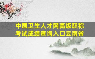 中国卫生人才网高级职称考试成绩查询入口云南省