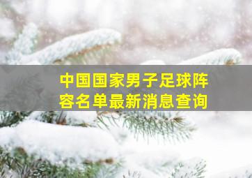 中国国家男子足球阵容名单最新消息查询