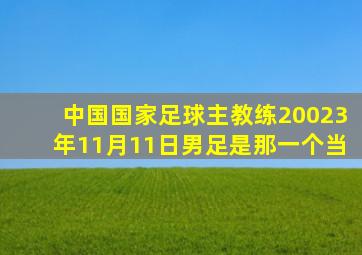 中国国家足球主教练20023年11月11日男足是那一个当